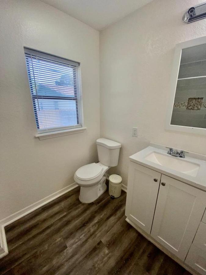 Two Fully Equipped Apartments And A Studio 5 Miles From The Beach St. Petersburg Exteriör bild